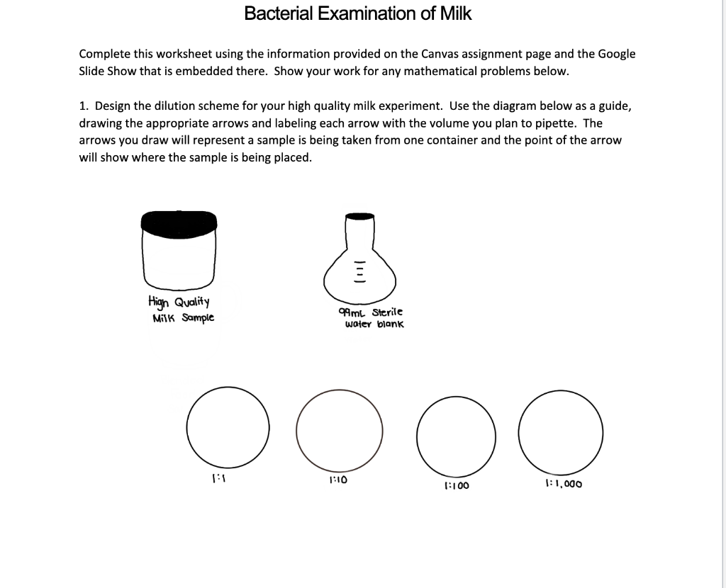 Solved Bacterial Examination Of Milk Complete This Worksheet Chegg