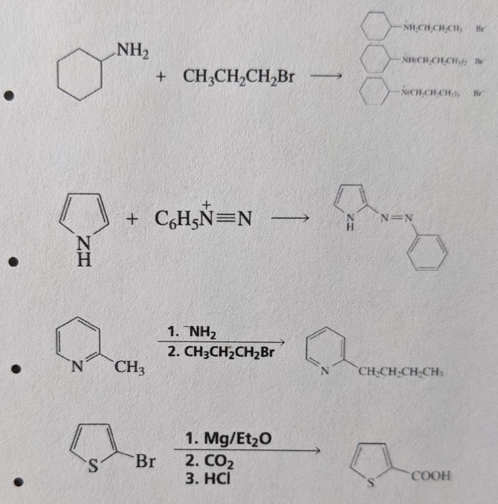 Solved Nh Ch C Ch Br Nh Nhich Ch Ch Br Ch Ch Ch Br Chegg