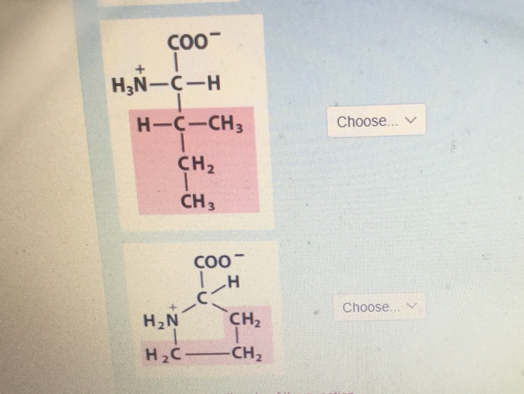 Solved Coo H N C H Choose Ch Coo Coo Ch Choose Ch Ch Chegg