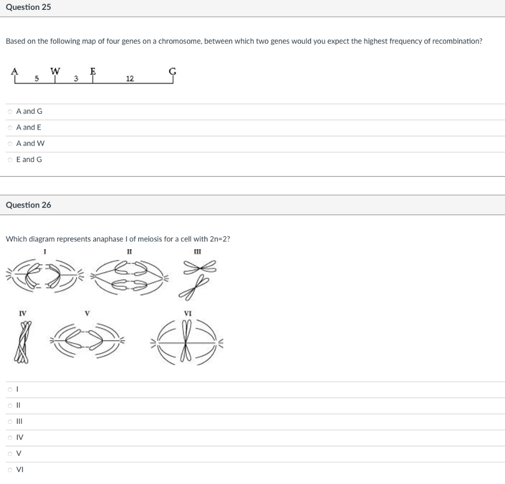 Solved Question Based On The Following Map Of Four Genes Chegg