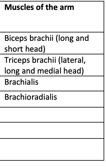 Solved A What Is The Bone S Of Origin And Insertion B One Chegg