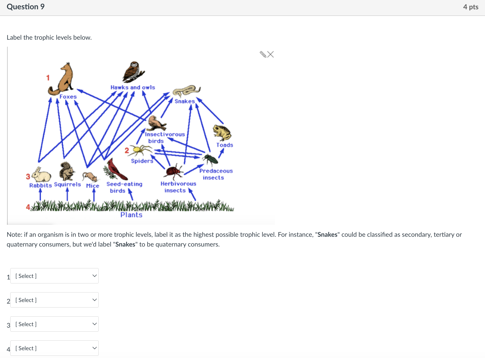 Solved Label The Trophic Levels Below Note If An Organism Chegg