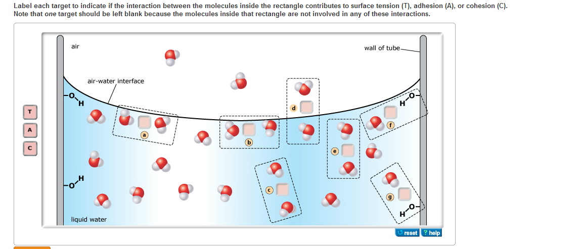 the-relationship-between-hydrogen-bonding-and-chegg