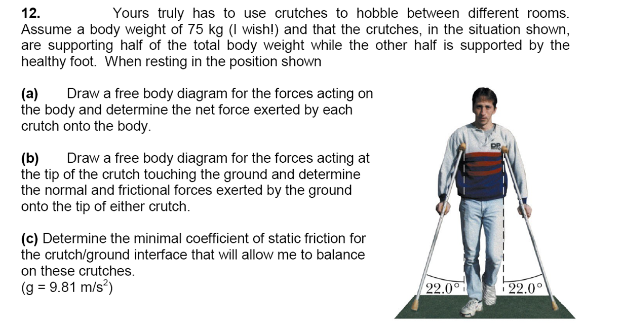 average weight for 1.6 meters