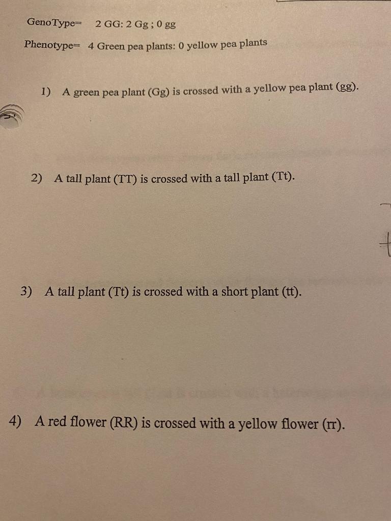 Solved GenoType 2 GG 2 Gg 0 Gg Phenotype 4 Green Pea Chegg