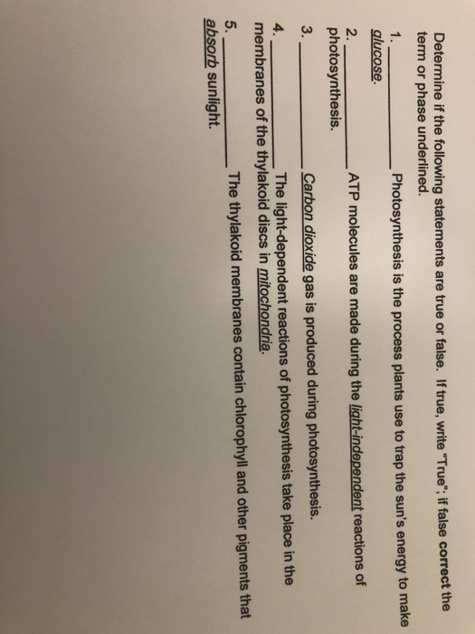 Solved Name Date Lab Section Exercise 5 Photosynthesis And Chegg