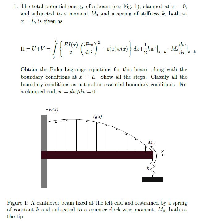 Obtain The Euler Lagrange Equations For This Beam Chegg