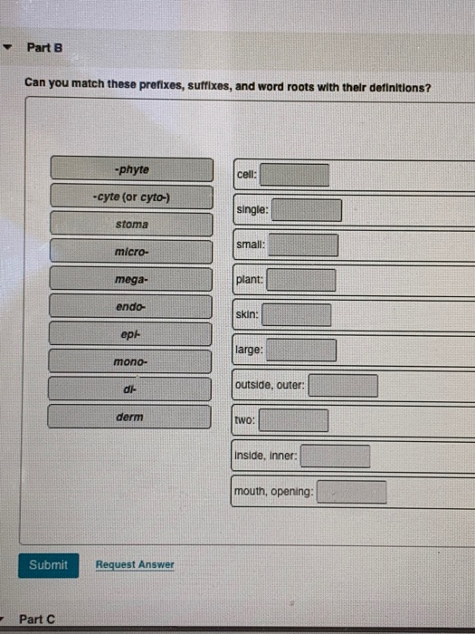 Solved Ing Vocabulary Word Roots Plants Part C Can You Chegg