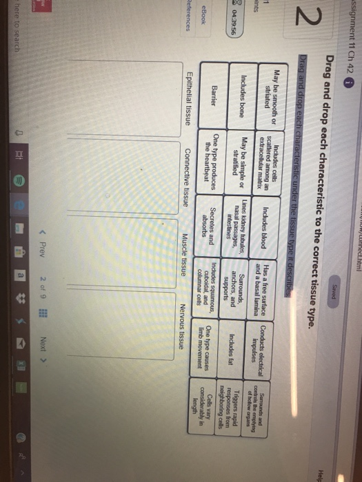 Solved Drag And Drop Each Characteristic To The Correct Chegg