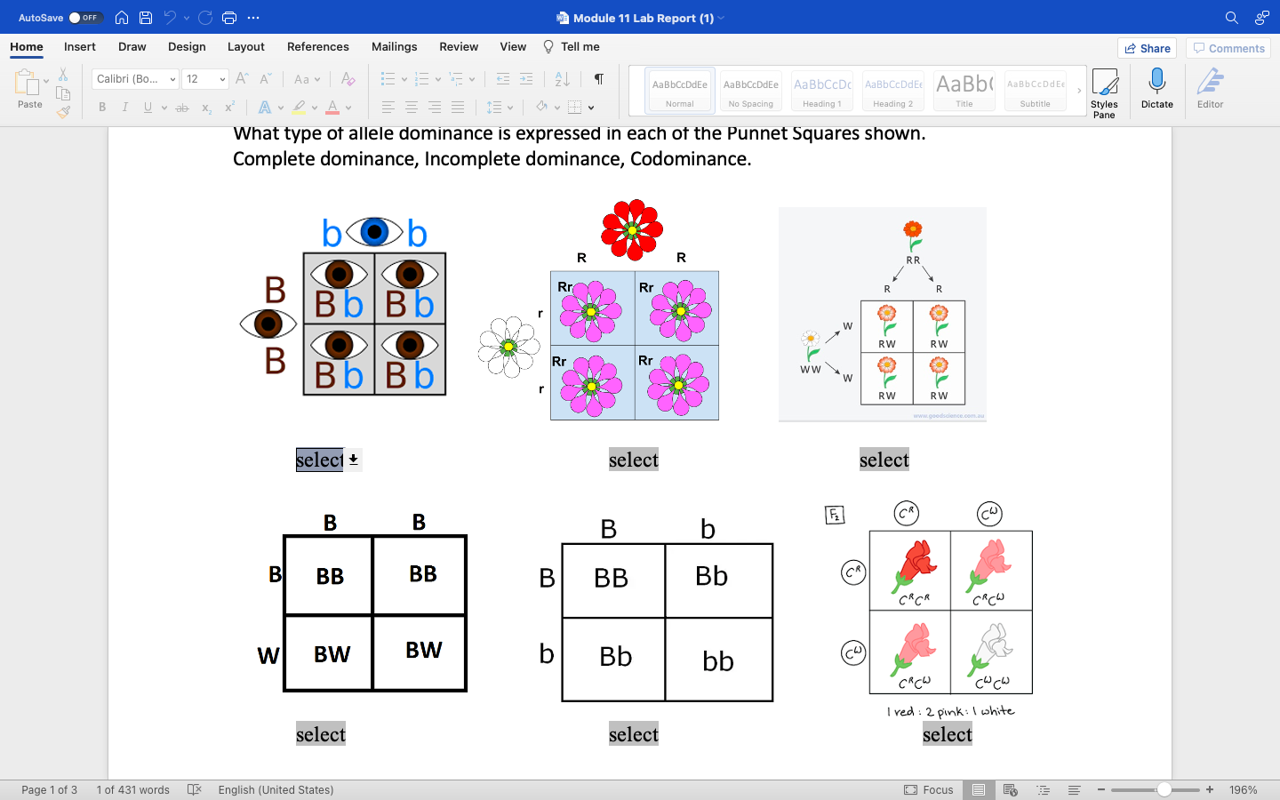 Solved AutoSave OFF A 2 9 Buc W Module 11 Lab Report 1 Q Chegg