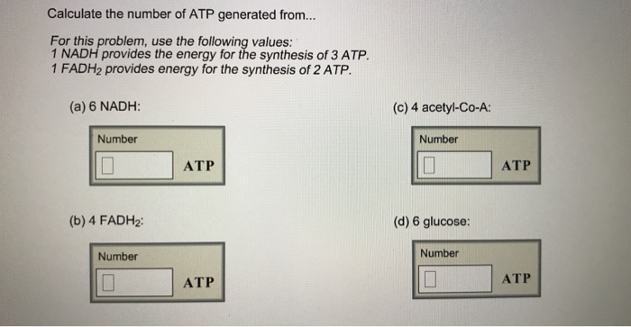 Solved Calculate The Number Of ATP Generated From For Chegg