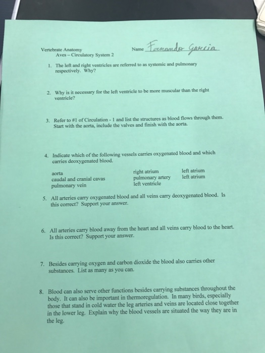Solved: The Left And Right Ventricles Are Referred To As S... | Chegg.com