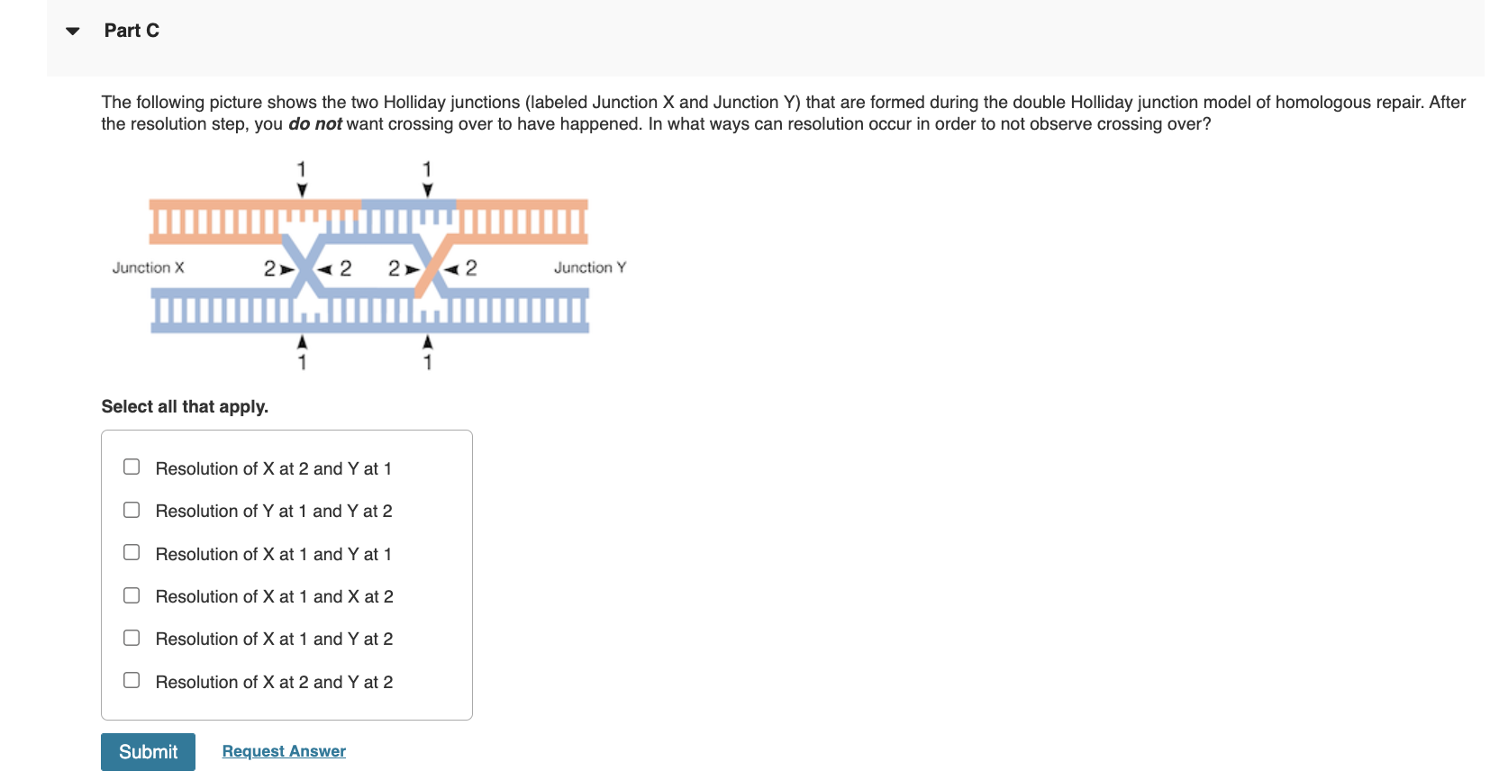 Solved Part C The Following Picture Shows The Two Holliday Chegg