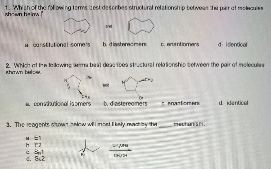 Solved Which Of The Following Terms Best Describes Chegg