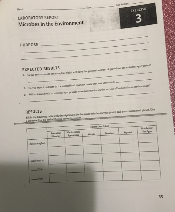 Lab Name Exercise Laboratory Report Microbes In The Chegg