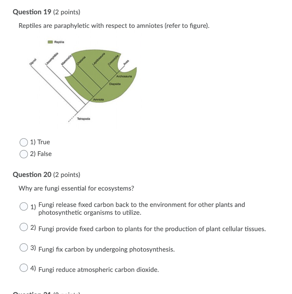 Solved Question Points Which Group Are Mycorrhizal Chegg