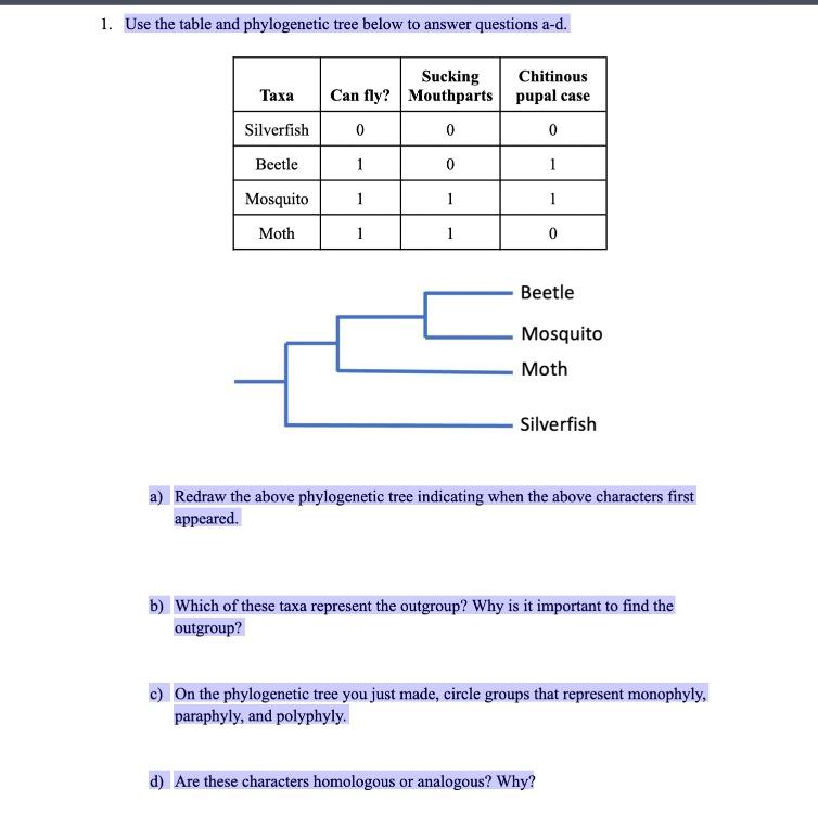 Solved Use The Table And Phylogenetic Tree Below To Chegg