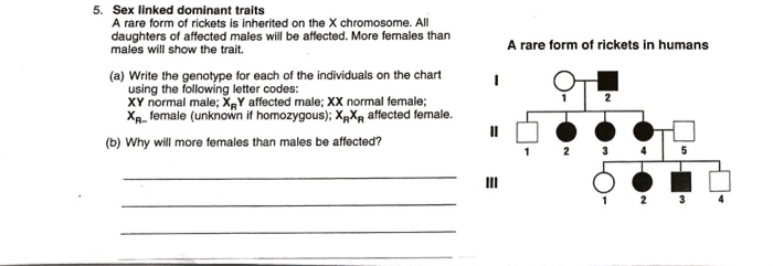 Solved Sex Linked Dominant Traits A Rare Form Of Rickets Chegg