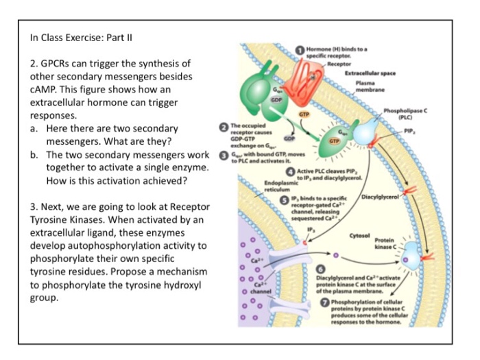 free biology of life biochemistry