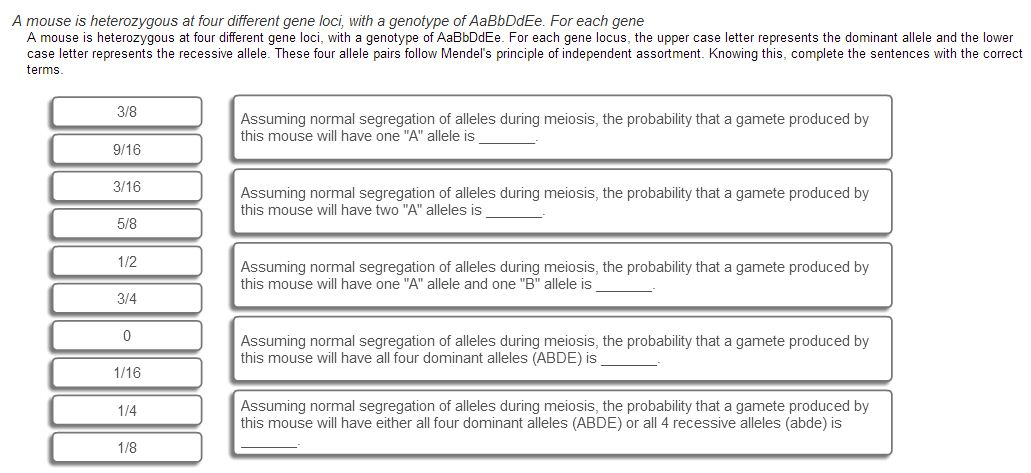 Biology gene pairs homework help