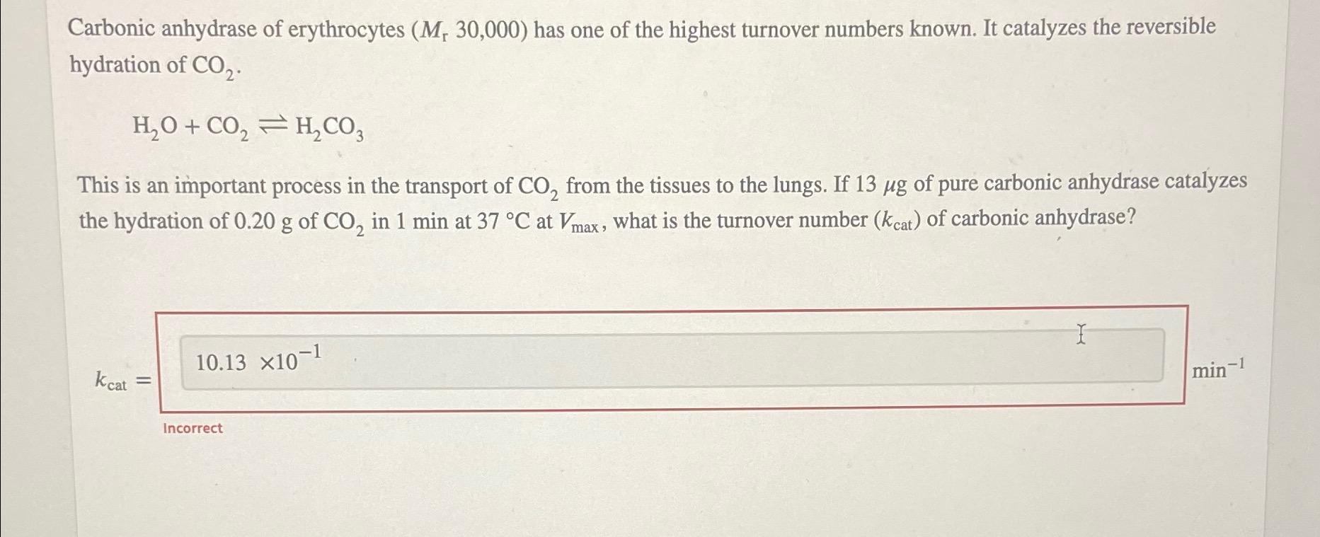 Solved Carbonic Anhydrase Of Erythrocytes M 30 000 Has Chegg