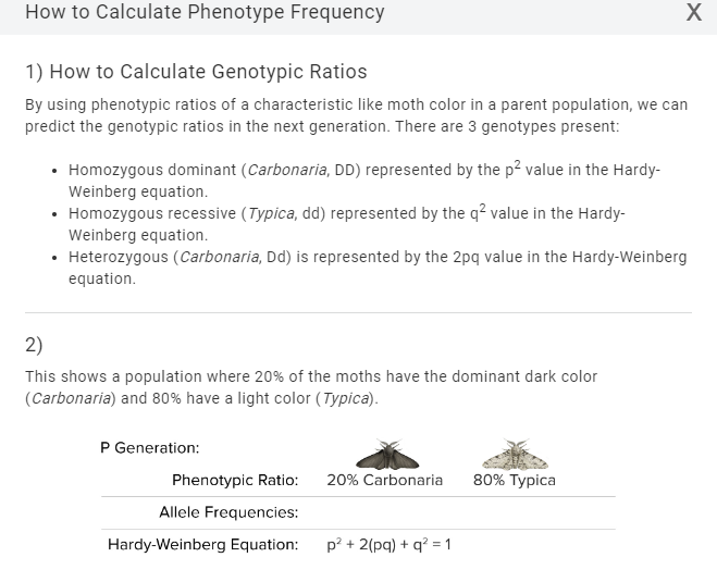 Solved Environment Clean Forest Phenotype Frequency Allele Chegg