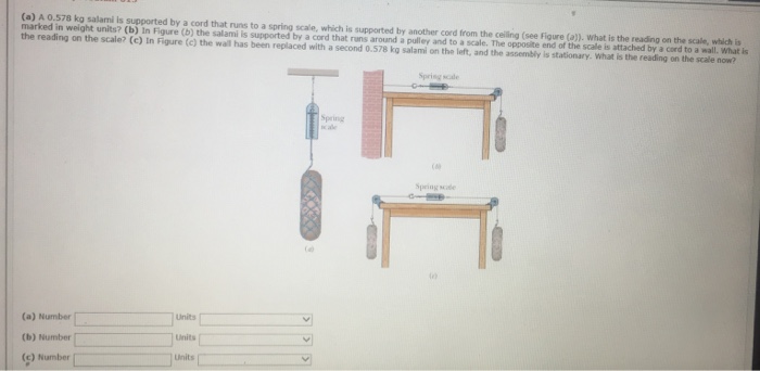 Solved A 0 578 Kg Salami Is Supported By A Cord That Runs To Chegg