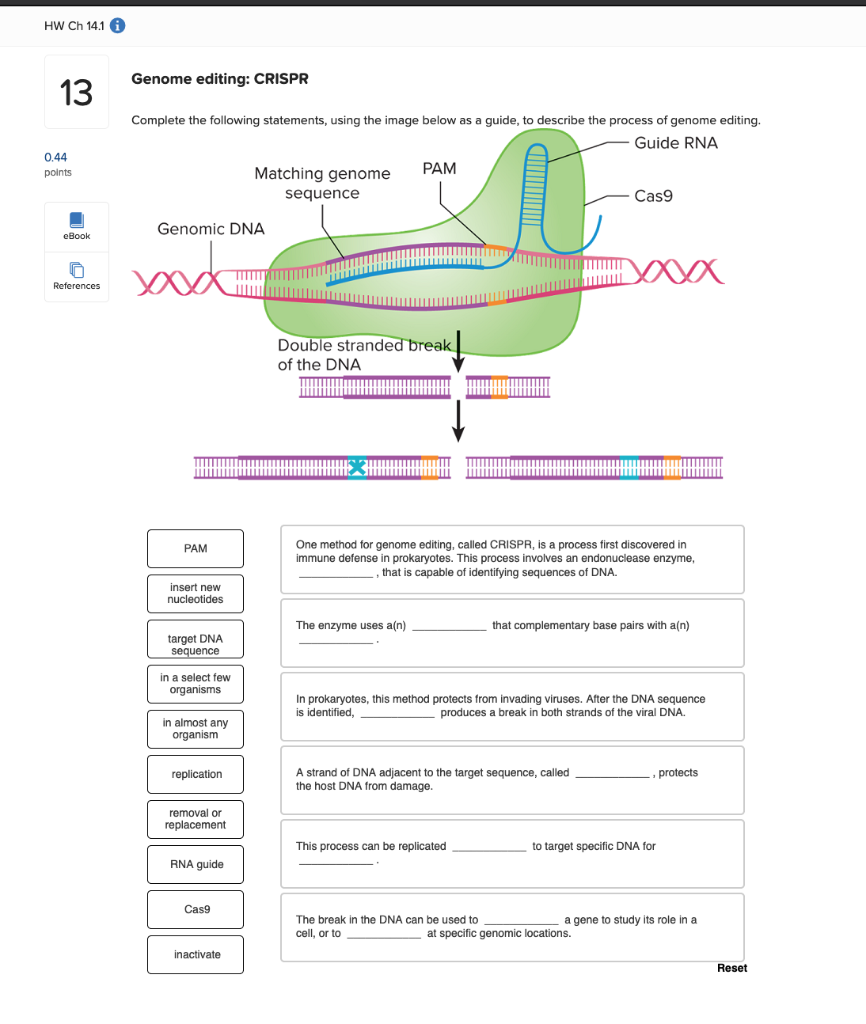 Solved Hw Ch Genome Editing Crispr Complete The Chegg