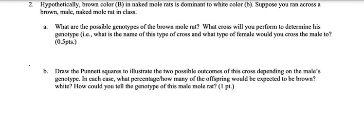 Solved Hypothetically Brown Color B In Naked Mole Rats Chegg