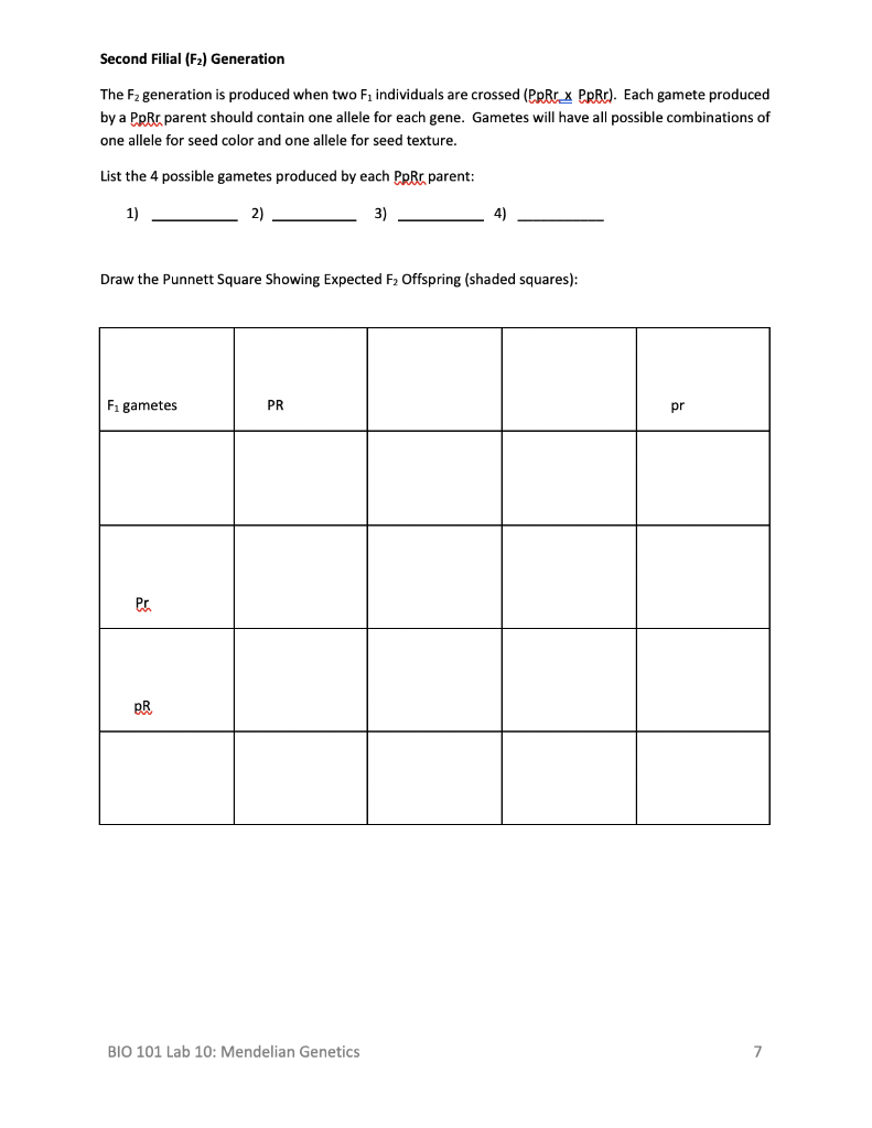 Solved Bio Lab Mendelian Genetics To Submit Print Chegg