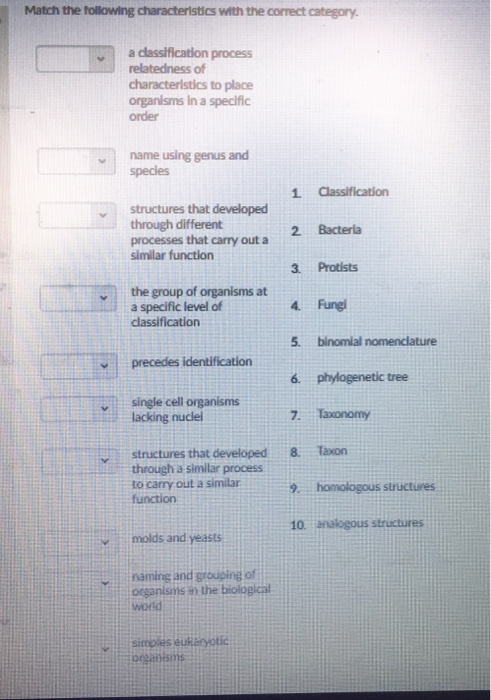 Solved Match The Following Characteristics With The Correct Chegg