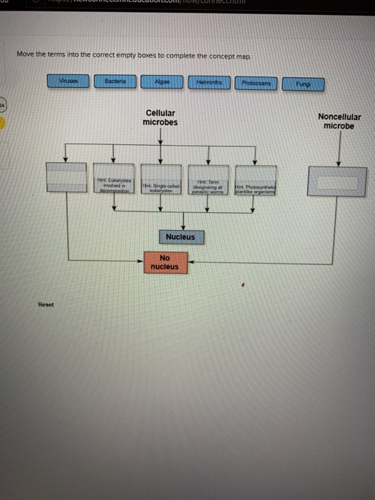 Solved TectnLIT Move The Terms Into The Correct Empty Boxes Chegg