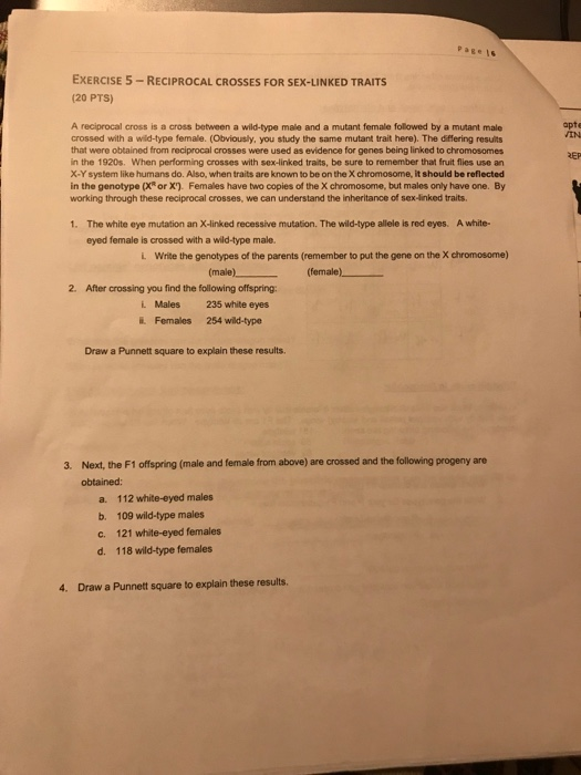 Solved Pagets EXERCISE 5 RECIPROCAL CROSSES FOR SEX LINKED Chegg