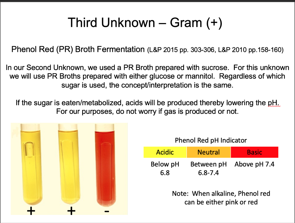 Solved Third Unknown Gram Use These Ppt Images And The Chegg