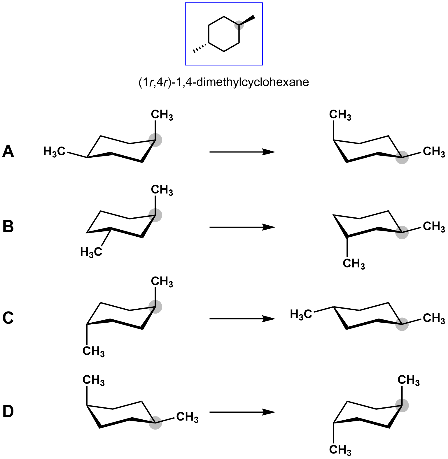 Solved R R Dimethylcyclohexane Chegg