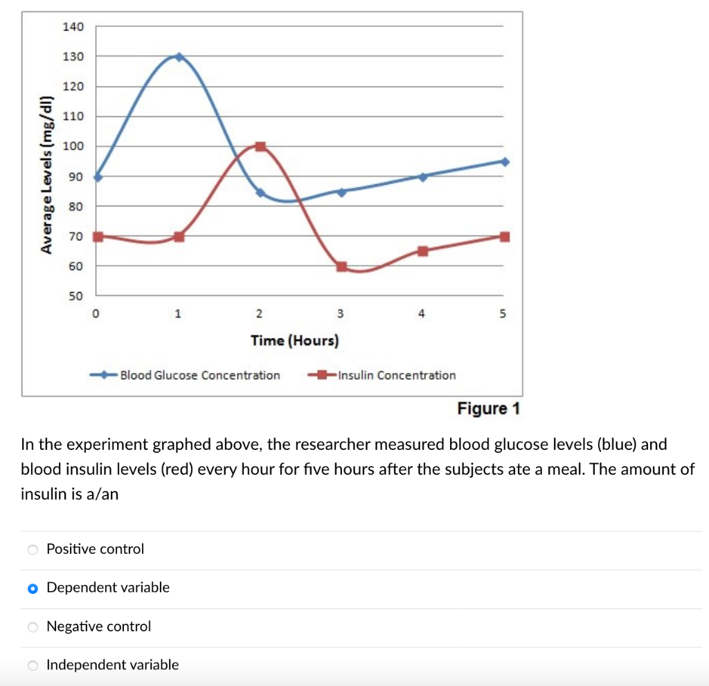 Solved In This Graph Blood Glucose Levels Start To Drop Chegg