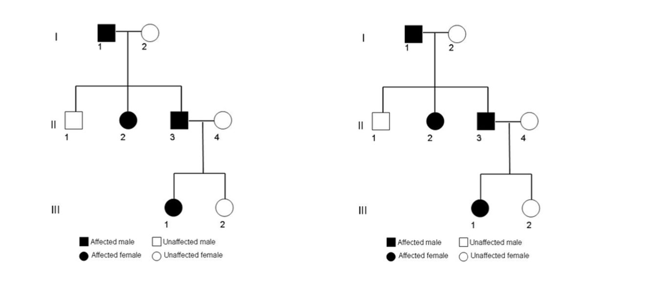 Solved Consider The Two Identical Pedigrees Below Using Chegg