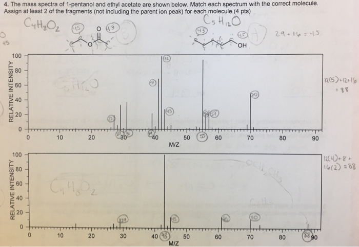 Solved The Mass Spectra Of Pentanol And Ethyl Acetate Chegg