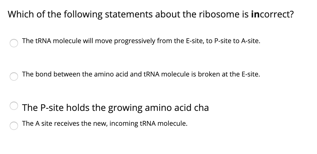 Solved Which Of The Following Statements About The Ribosome Chegg