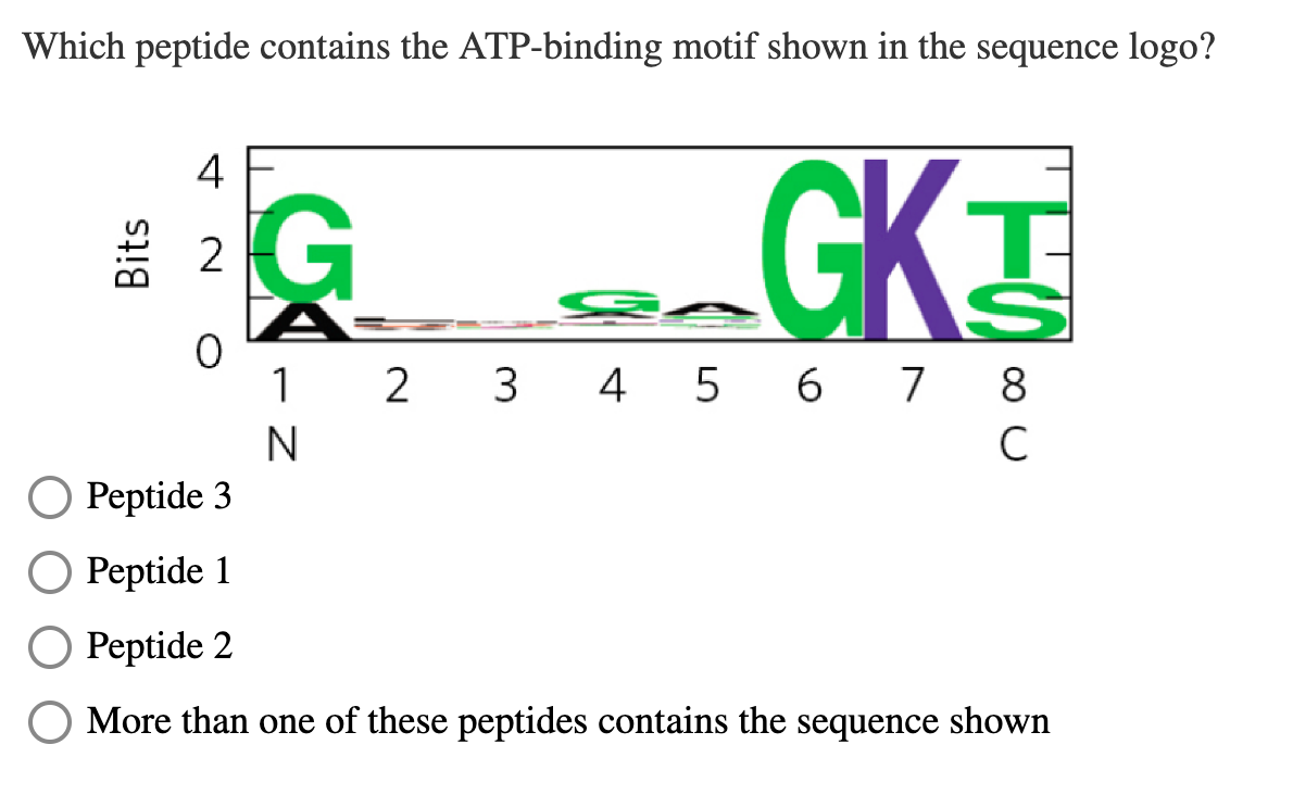 Solved Which Peptide Contains The ATP Binding Motif Shown In Chegg