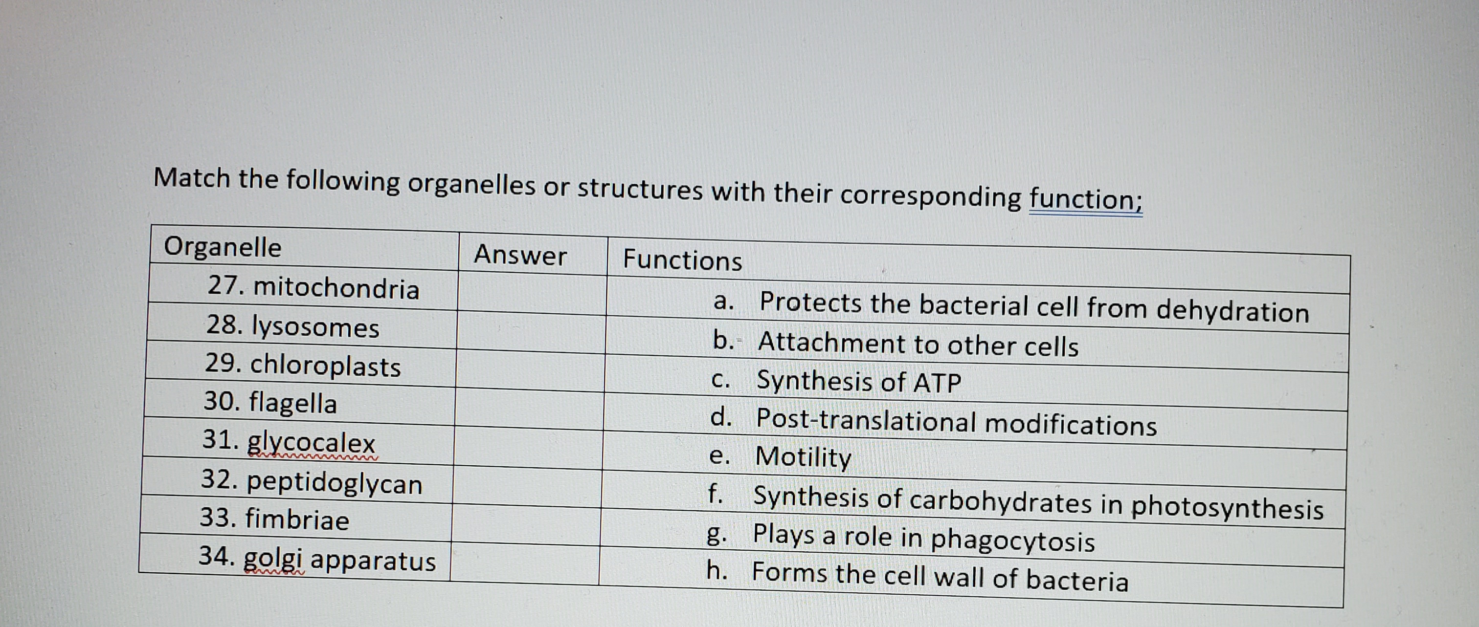 Solved Match The Following Organelles Or Structures With Chegg