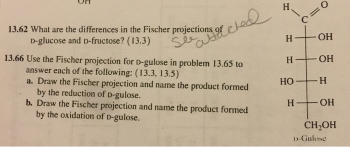 solved-draw-the-fischer-projection-and-name-the-product-f-chegg