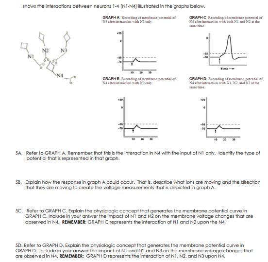 Solved Answer The Question By Looking At The Graphs Each Chegg