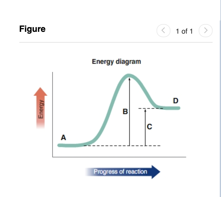 Solved Label The Energy Diagram Figure 1 By Matching Chegg