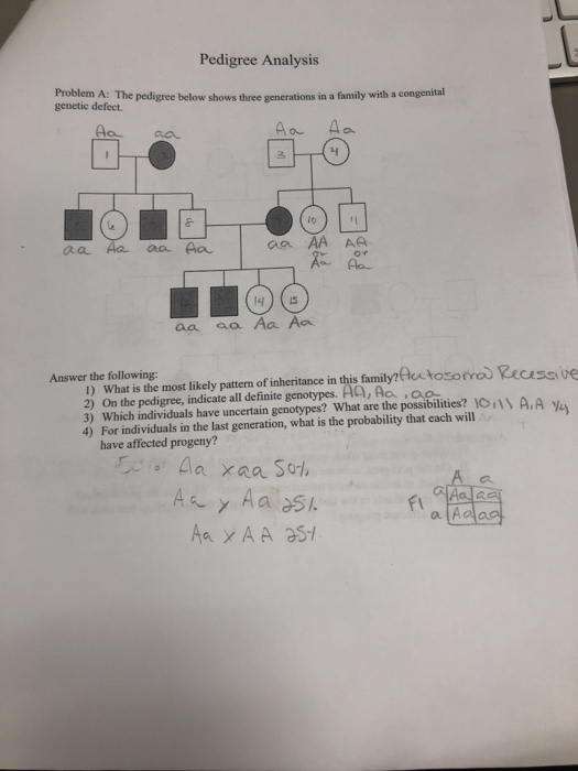 Solved Pedigree Analysis Problem A The Pedigree Below Shows Chegg