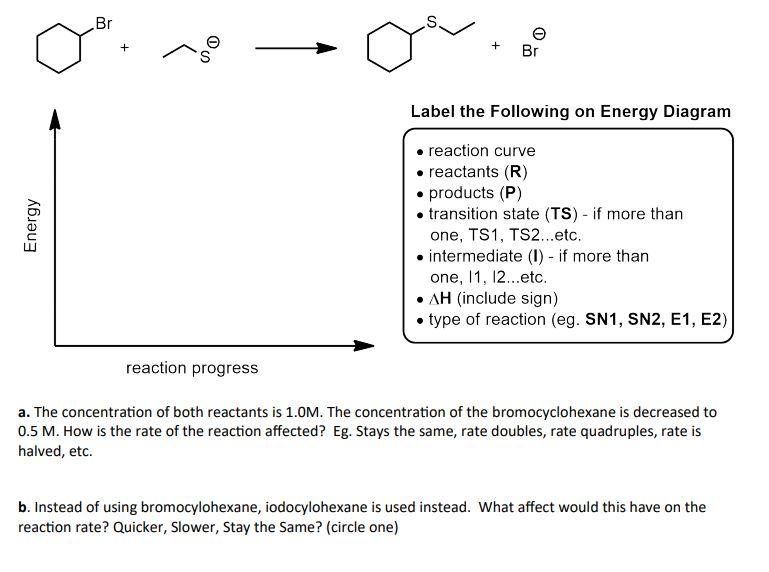 Solved Label The Energy Diagram Below With The Labels Chegg