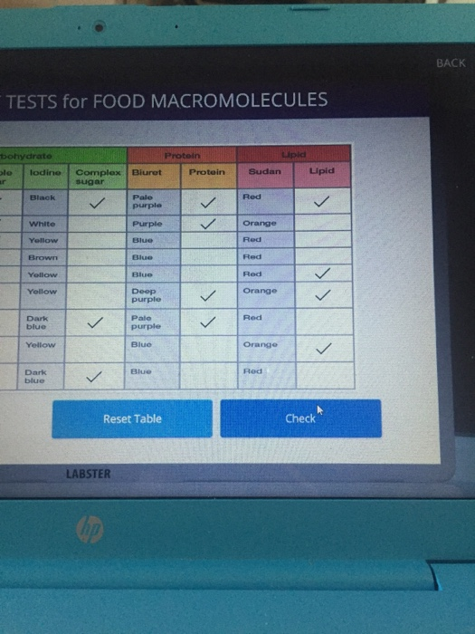 Solved BACK TESTS For FOOD MACROMOLECULES Bohydrato Le Chegg