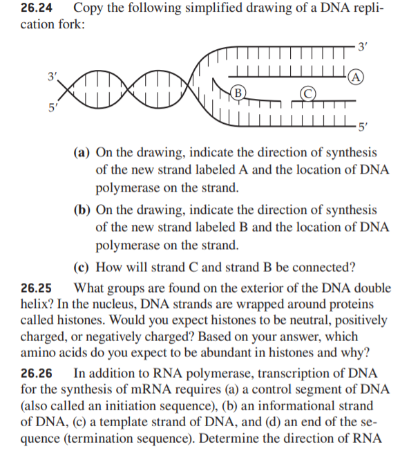 Solved Copy The Following Simplified Drawing Of A Dna Repli Chegg