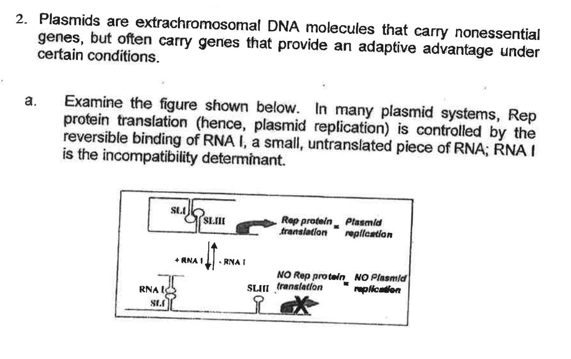 Solved Plasmids Are Extrachromosomal Dna Molecules That Chegg