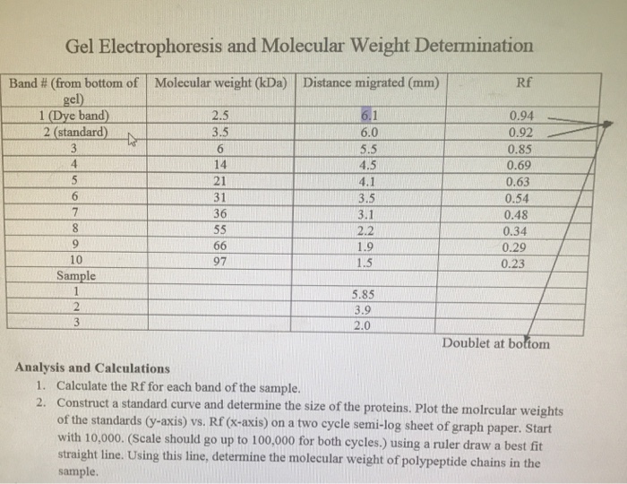 Solved Calculate The Rf For Each Band Of The Sample Chegg